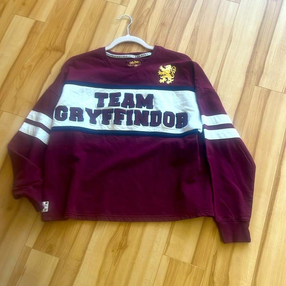 Harry Potter Team Gryffindor sweatshirt